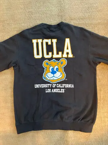 UCLA 트레이닝복 남성용 L 사이즈