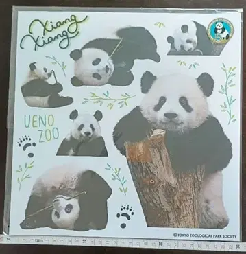 우에노 동물원 샹샹 월 스티커