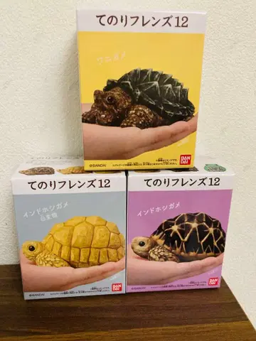 테노리 프렌즈 12 거북이 3종 세트