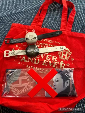 장근석 군토끼 응원봉, 토트백