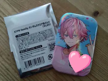 STPR Family 랜덤 스퀘어 캔뱃지 사토미 군 레어