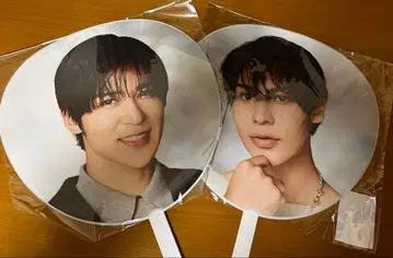 아이돌 부채 2장 세트 RAYS