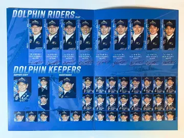 2025 블루 임펄스 투어 팜플렛