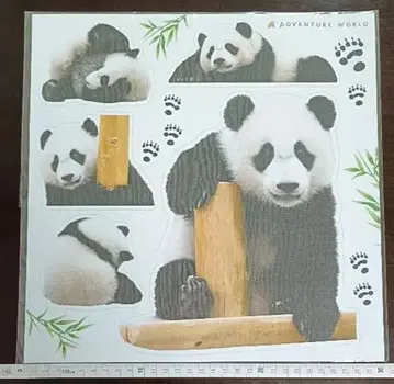 어드벤처 월드 후우힌 벽 스티커