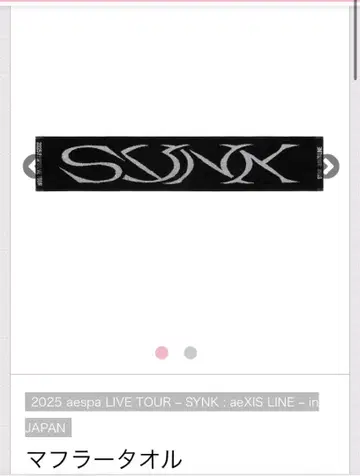 aespa 2025 LIVE TOUR 머플러 타월