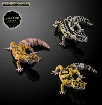 생물대도감 어드밴스 레오파드 게코 3체 세트