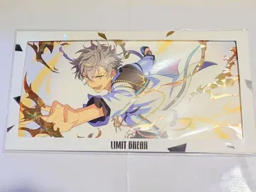 앙스타 프리즘 아트 포스터 오오가미 코가