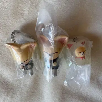 StrayKids skzoo 가챠가챠 I.N