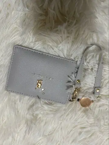 그레이 플랫 카드 케이스 ID 창 포함