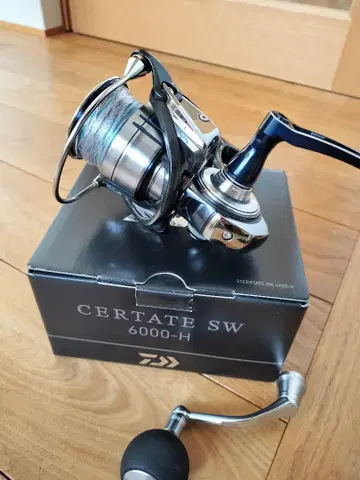 21 셀테이트 SW 6000-H