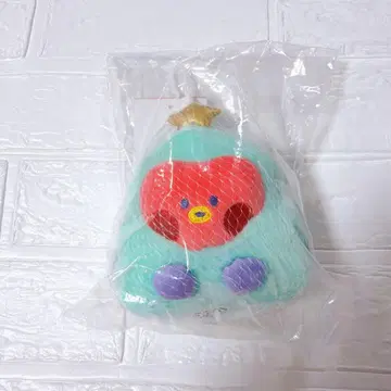 BT21 크리스마스 오너먼트 TATA 태현 테테 V 봉제 인형