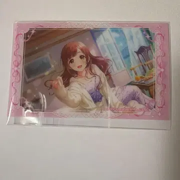 이가라시 쿄코 클리어 시트