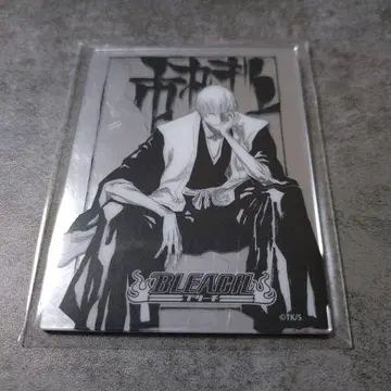 이치마루 긴 메탈 마그넷