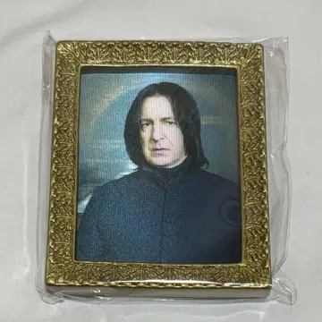 초상화 마그넷 컬렉션 세베루스 스네이프