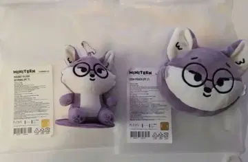 SEVENTEEN MINITEEN 원우 마그넷 키링 코인 케이스