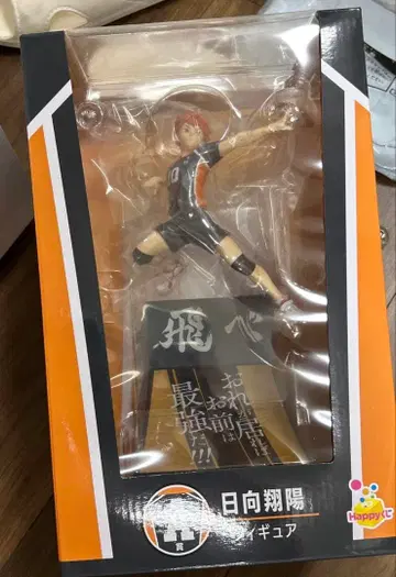 히나타 쇼요 피규어 A 랭크