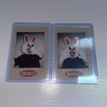 스키즈 리노 skzoo 폴라로이드