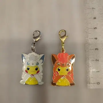 포켓몬 센터 삿포로 한정판 판초 피카츄 아머드 로토무