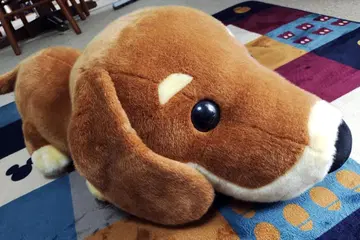 [ 특별 가격 중 ] 특대 사이즈 닥스훈트 개 봉제 인형