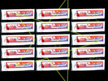 JAL 플라이트 택 15개