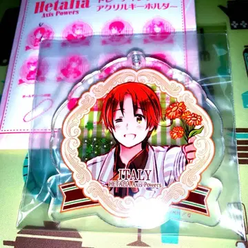 헤타리아 AxisPowers 트레이딩 아크릴 키링