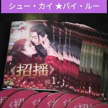 중국 드라마 초요 DVD 전권 파일 루 슈카이 렌탈 포함