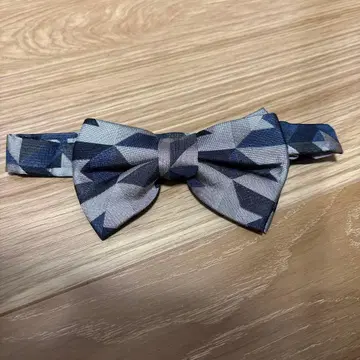 [새상품급] NEWLYTIES 기하학 패턴 나비 넥타이