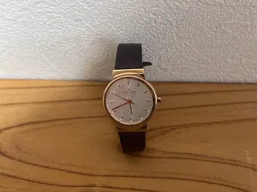 SKAGEN 스카겐 손목시계 여성용