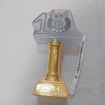AWARD 응원봉 WEST.