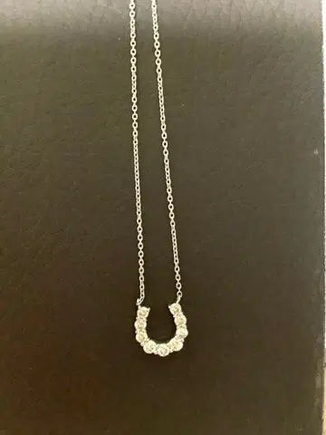 말굽형 플라티나 목걸이