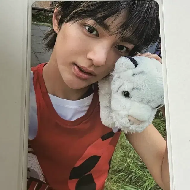 코르티스 건호 위버스반 앨범 포카 양도