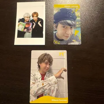 야오토메 히카루 포토 카드 3장 세트