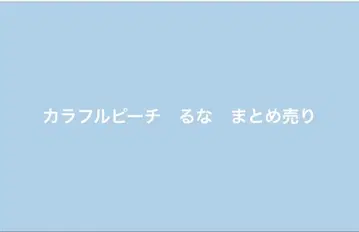 컬러풀 피치 루나 묶음 판매