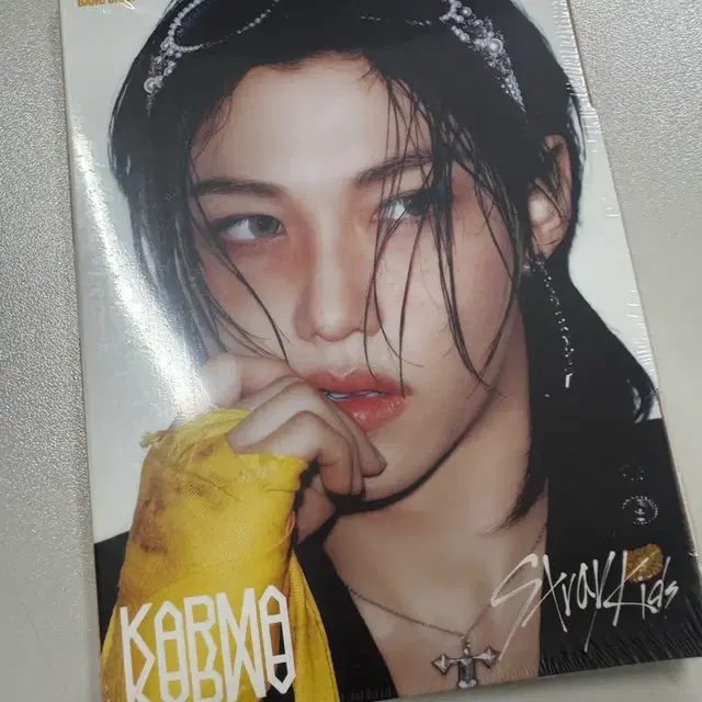 스트레이키즈 스키즈 카르마 karma 아코디안 미개봉 앨범