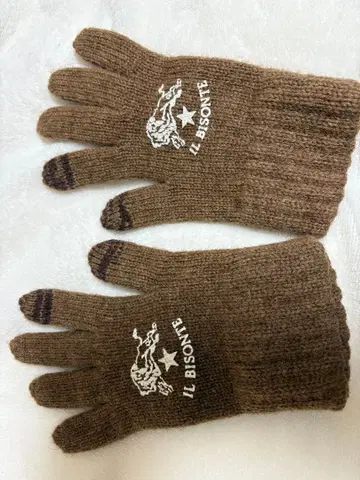 IL BISONTE 브라운 니트 그로브