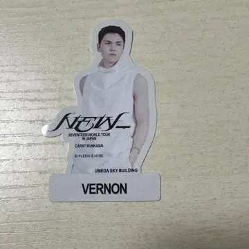 SEVENTEEN 세부치 NEW_