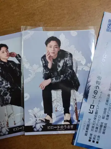 히라이 아몬 사진 세트 비로드의 토끼