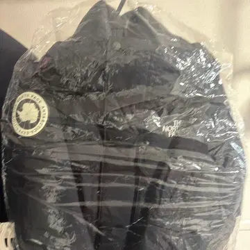 THE NORTH FACE 서던크로스 후드티 다운 자켓 블랙