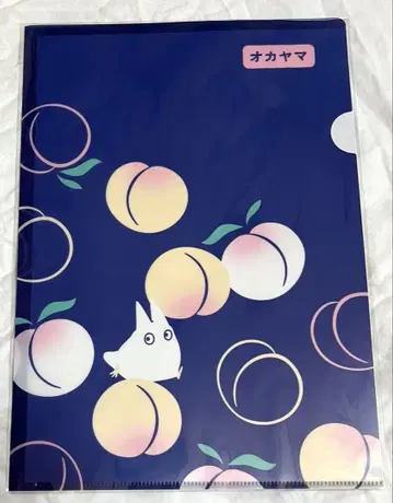 지브리 파크 지브리전 오카야마 회장 한정판 클리어 파일