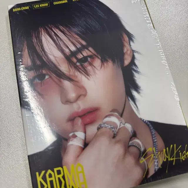 스트레이키즈 스키즈 카르마 karma 아코디안 미개봉 앨범