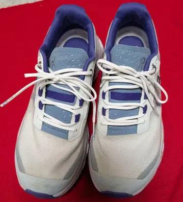 On 신발 (여성용)