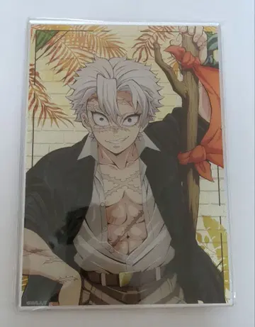 귀멸의 칼날 선샤인 시티 시나즈가와 사네미 메탈릭 보드