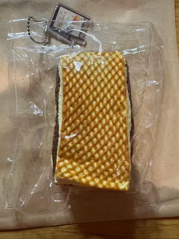 Daydream 스퀴즈 초기 작품