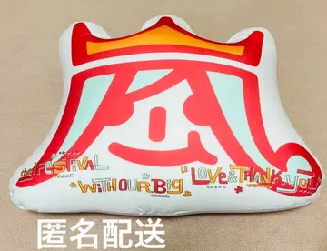 아라시 아라페스 2013 비즈 쿠션