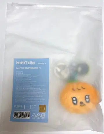 MINITEEN 페이스 플러시 키링 푸규리 승관