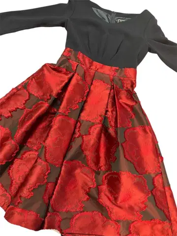 블랙과 빨간색 꽃무늬 A라인 드레스