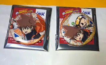 가정교사 히트맨 REBORN! 리본 사와다 츠나요시 츠나 크랙 플래그