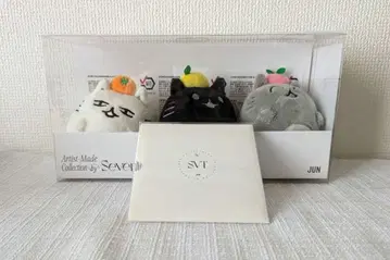 SEVENTEEN 아티스트 메이드 준