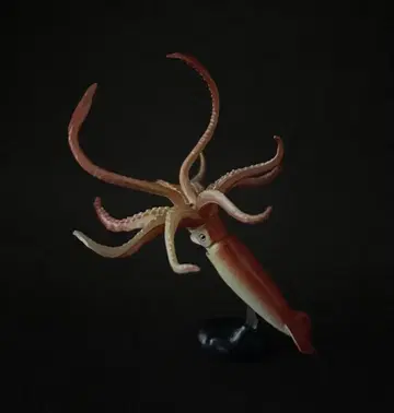 캡슐Q 일본 동물 컬렉션 대왕오징어