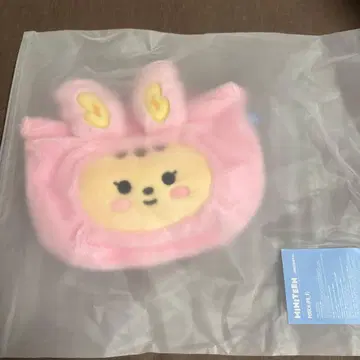 트람 파우치 정한 seventeen 세부치